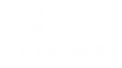 L003.png