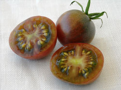 Black Cherry