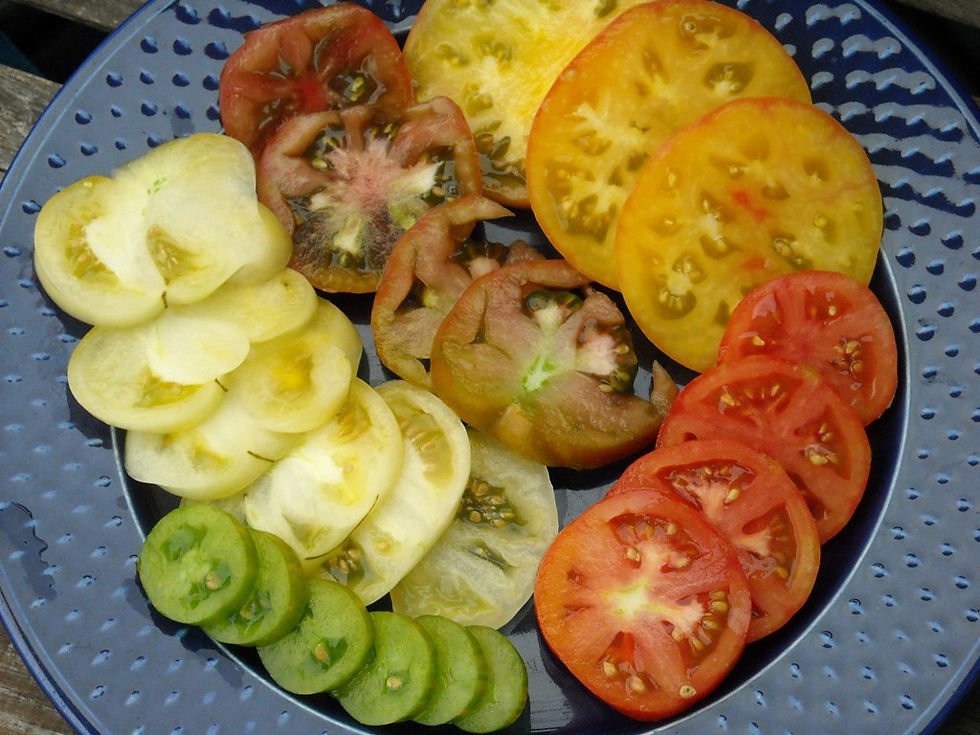 Tomates