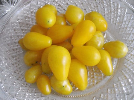 Tomate Cereja pera Amarelo