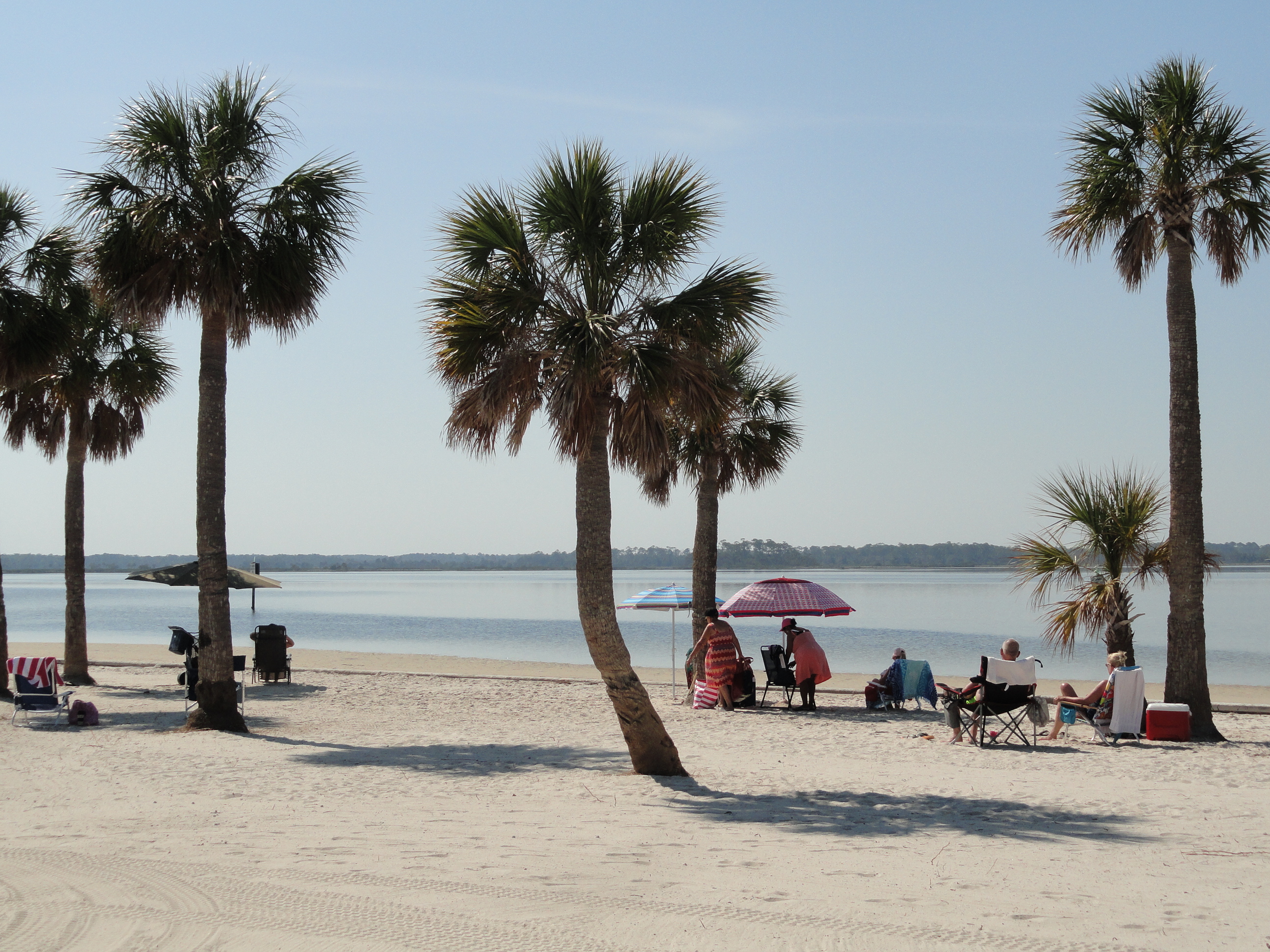 Pine Island