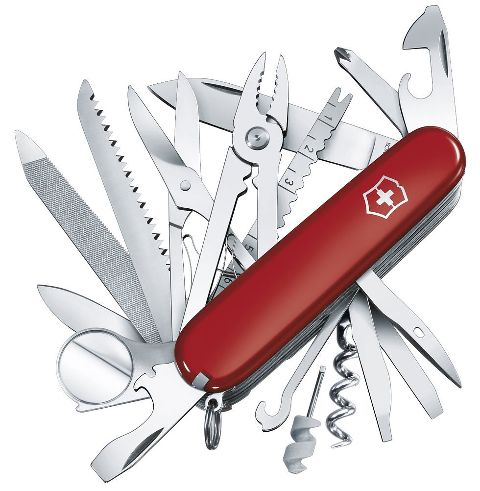 16-swiss.jpg
