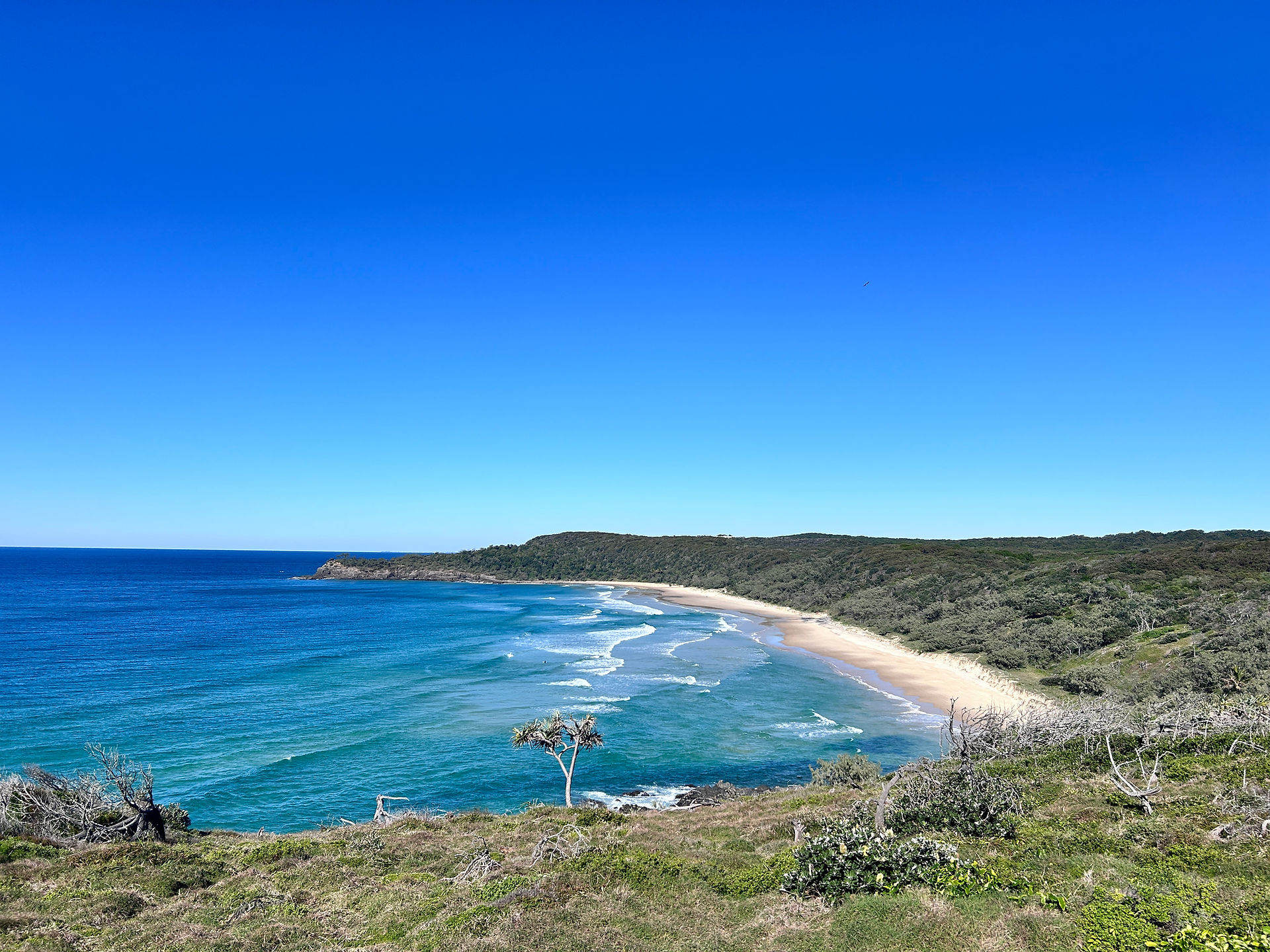Aerial view of Alexandria Bay beach and surrounding coastline in Noosa National Park