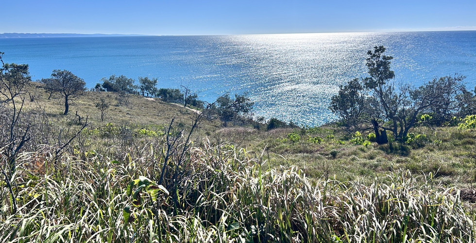 Sparkling turquoise water overlooking the Pacific Ocean from Noosa National Park coastal cliffs