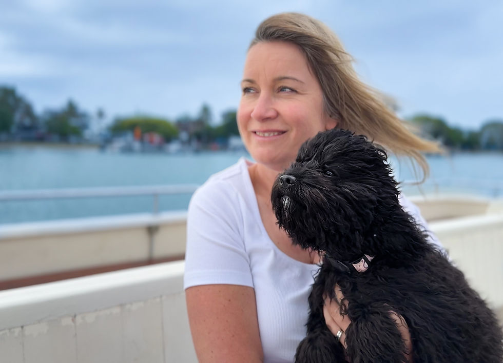 Dog-friendly Noosa Ferry with river views