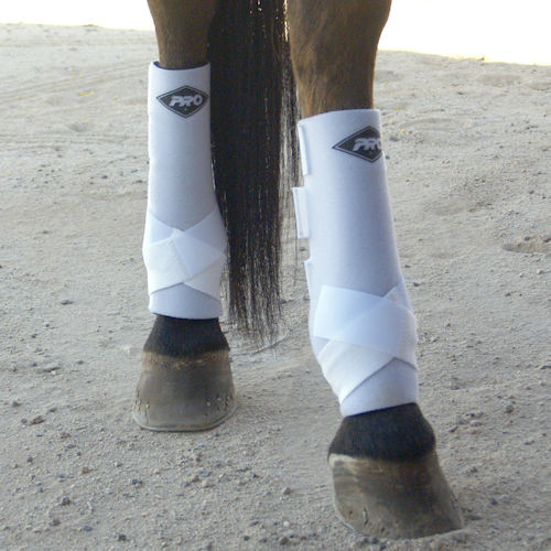 Pro Orthopedic Horse Rear Sports Support Boots athorsehardwear