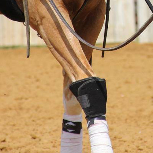 Pro Orthopedic Protective Horse Knee Boot athorsehardwear
