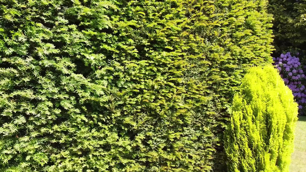 EPC en Asbestattesten OSSO real estate solutions