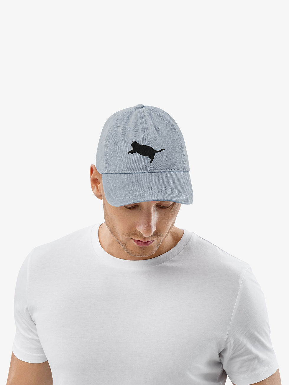 Thumbnail: Fat Cat Jumping | Denim Hat