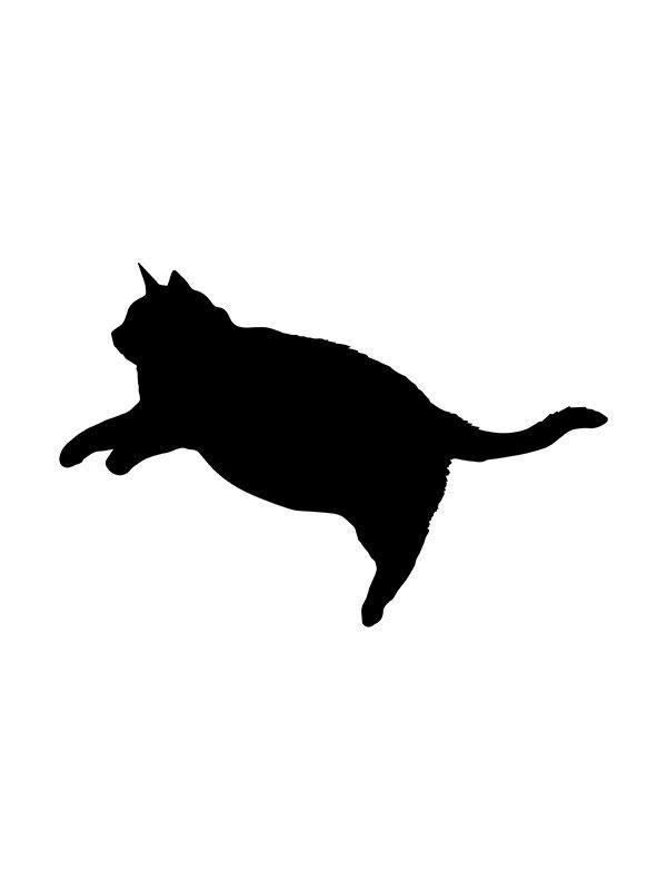 Fat Cat Jumping