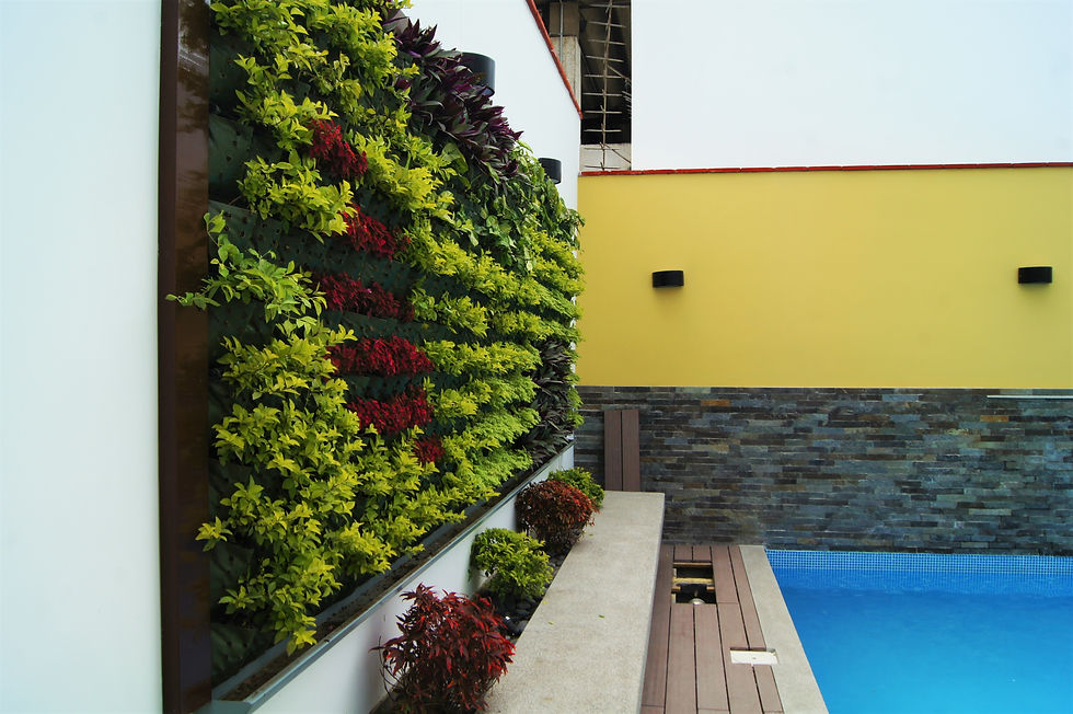 Jardín Vertical Los Aires de Nazca