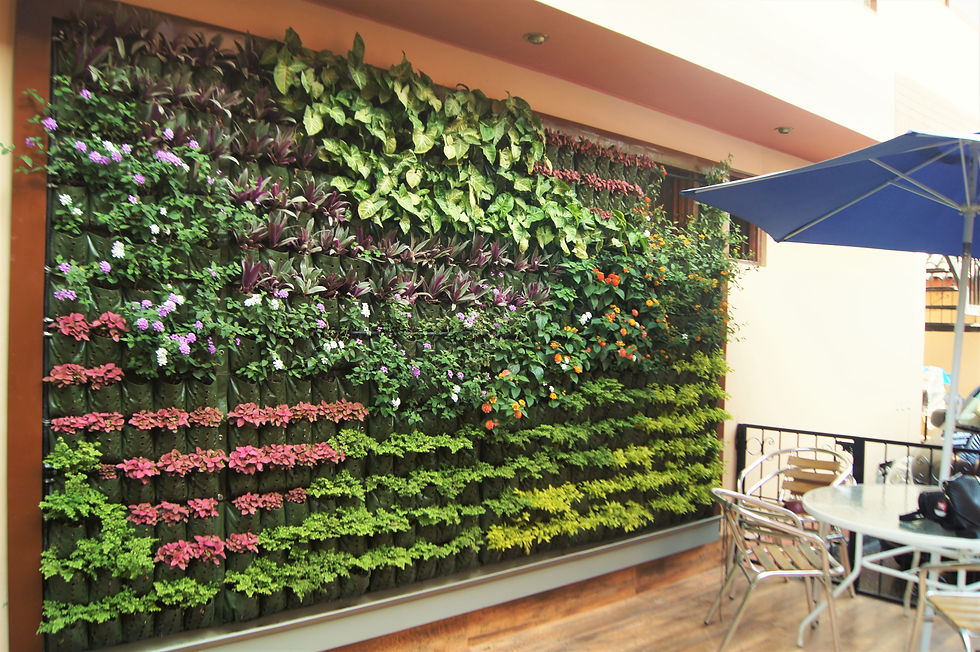 Jardín Vertical Familia Trujillo