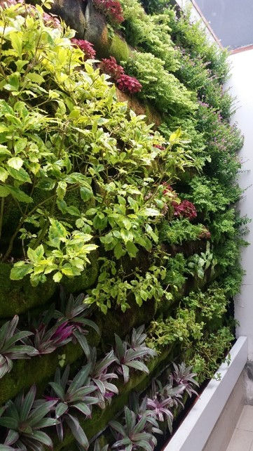 Jardín Vertical Familia Fitts