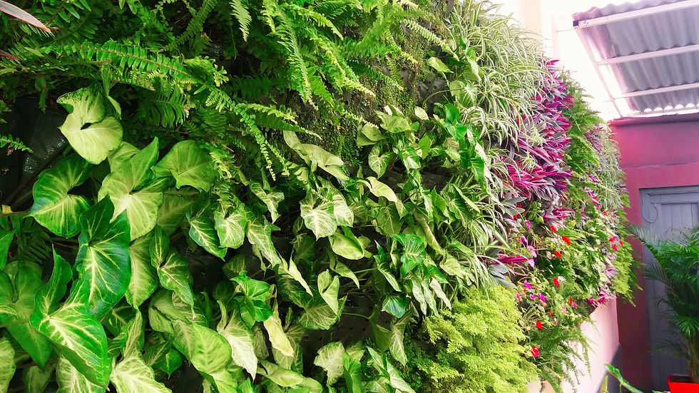 Jardín Vertical Oficinas A2G