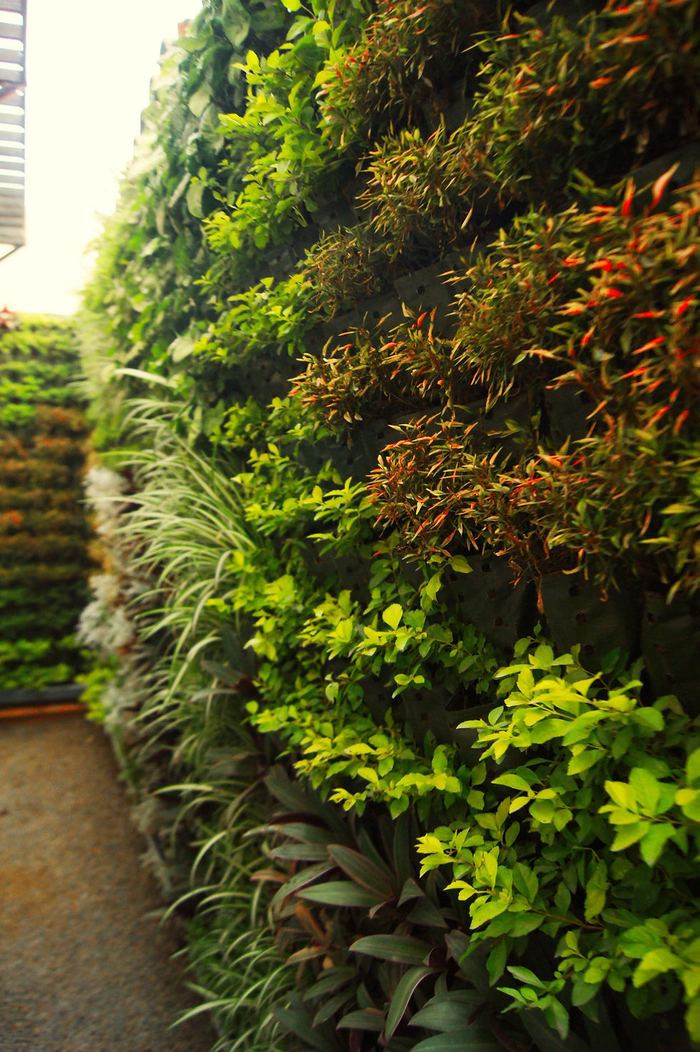 Jardín Vertical M-Magdalena