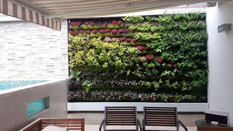 Jardín Vertical Familia Fitts