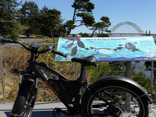 EZ E-BIKES