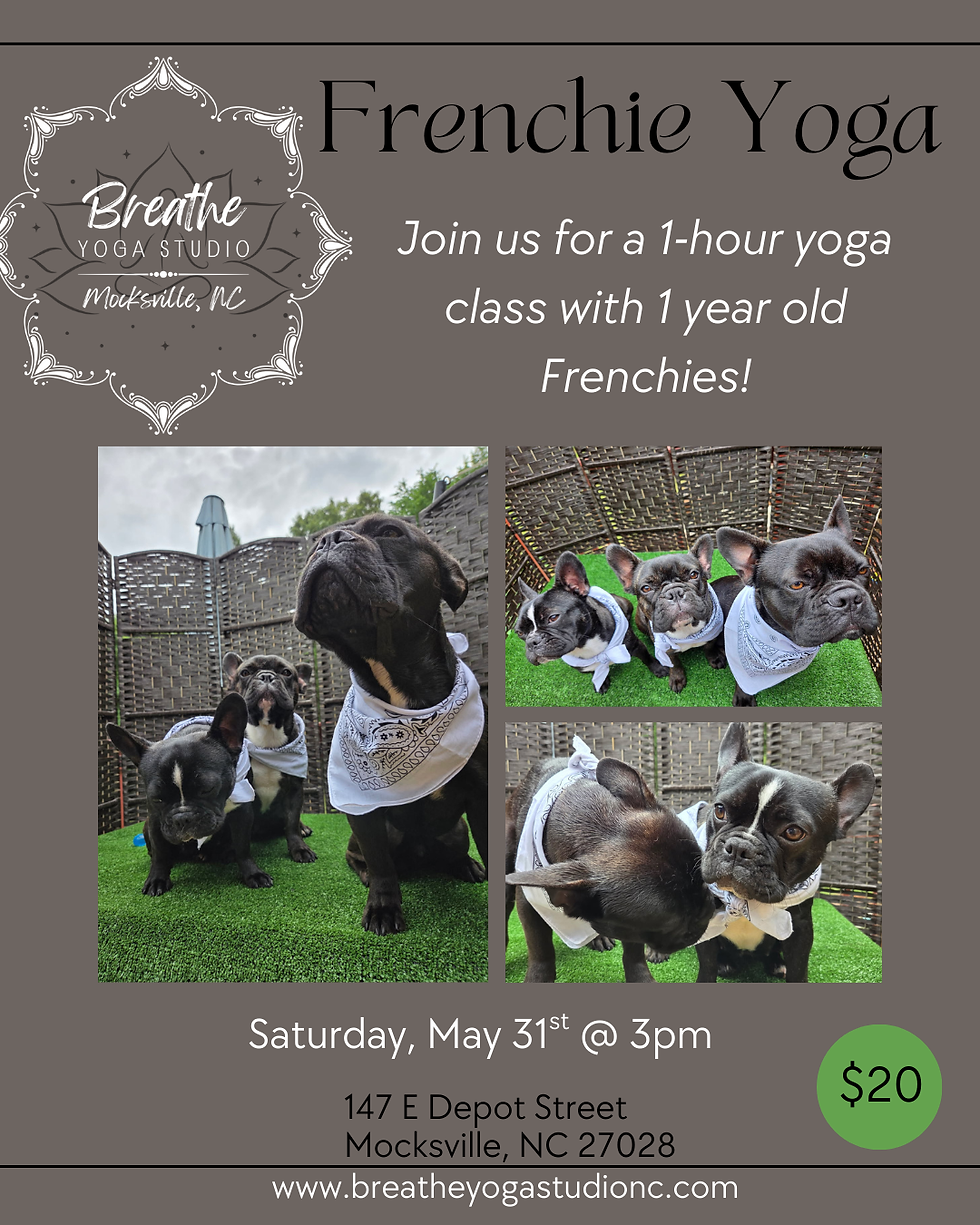 Frenchie Yoga