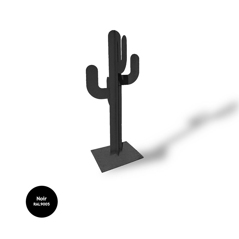 Miniature : CACTUS