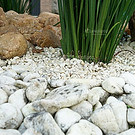 pedra-branca.jpg