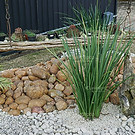 pedra-de-rio-marrom.jpg