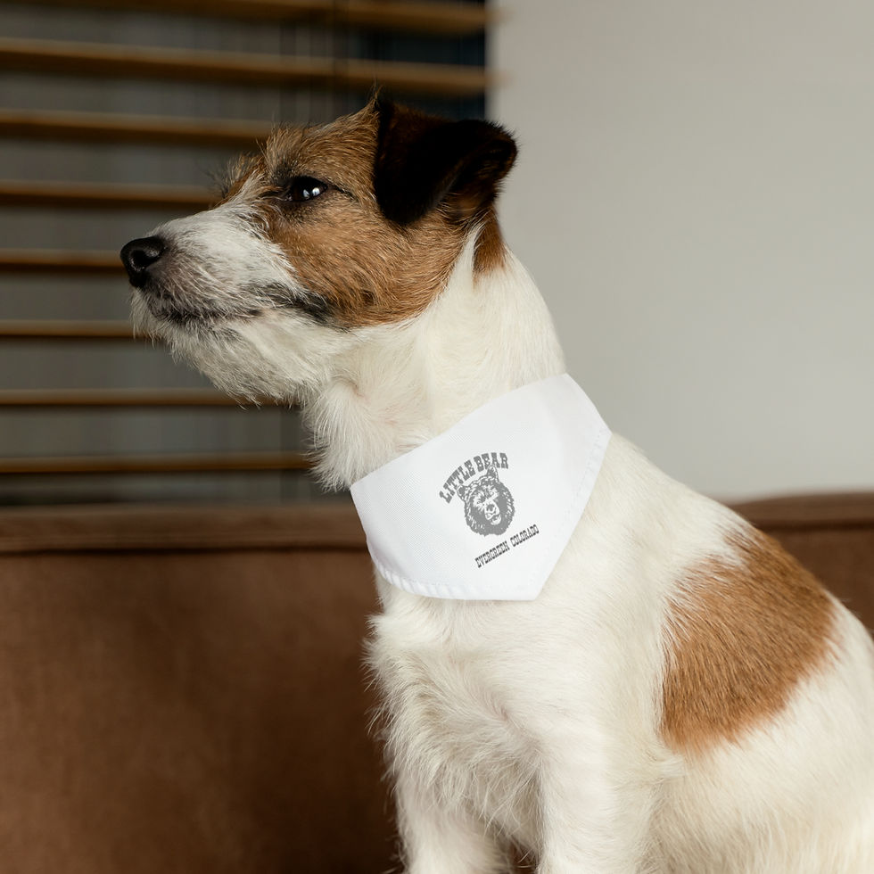 Thumbnail: LITTLE BEAR PET BANDANNA