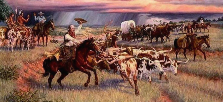 Jackson Ranch Longhorns 7 original longhorn families