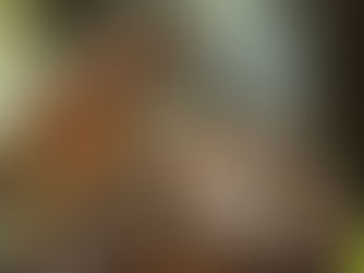 Esihenkilön viisaus ei ole tiimiläisten halujen toteuttamisessa