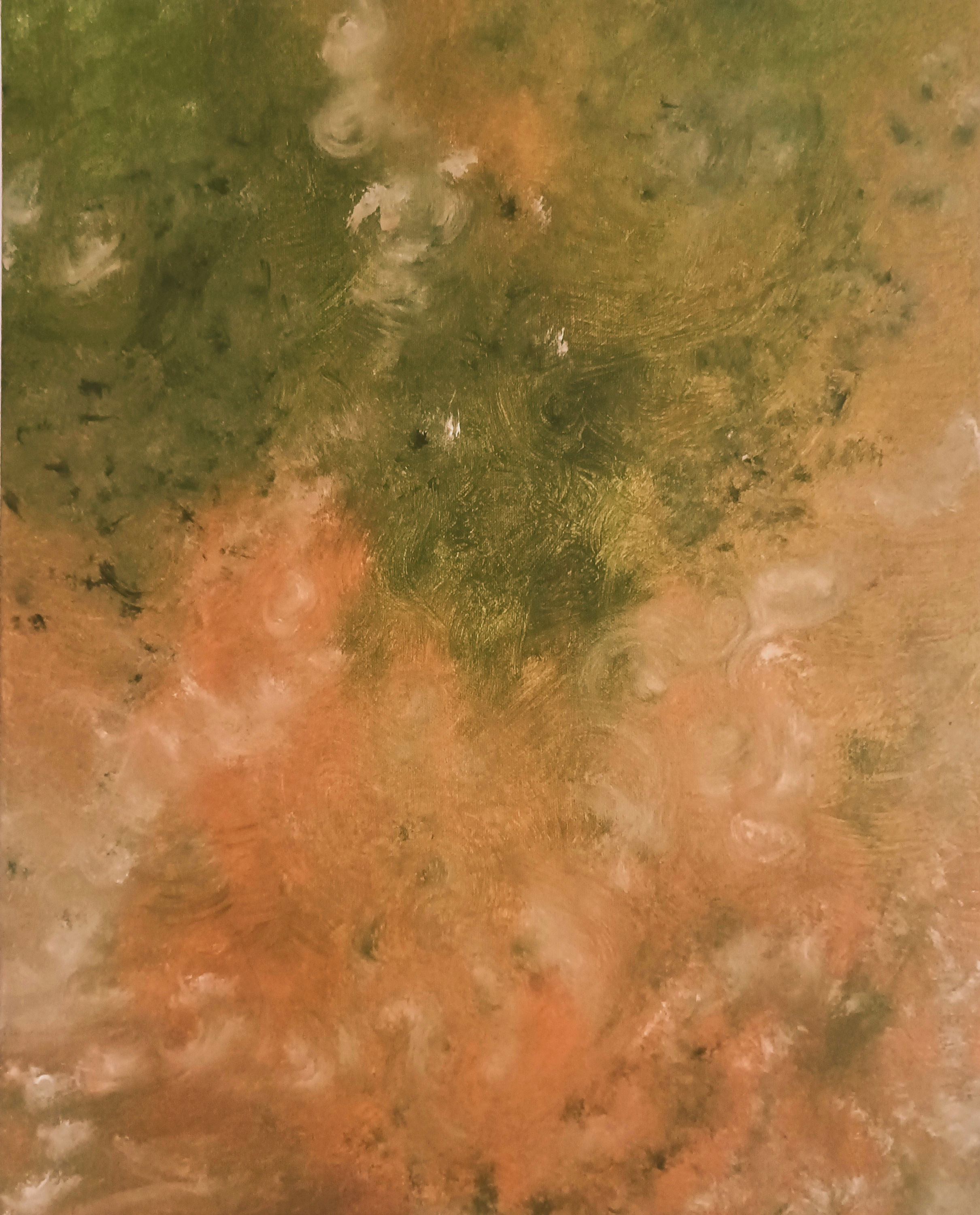 "The Greening" x David Stelle