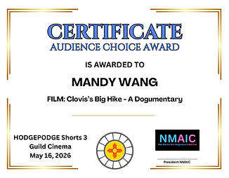 HODGEPODGE Shorts 3 Certificate Film Award
