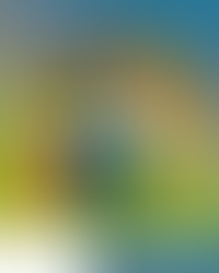 Minnesota's Annual Giving Holiday!