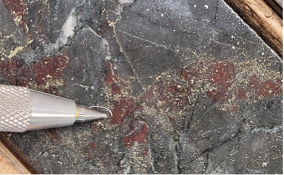 Figure 1: Disseminated pyrite and chalcopyrite associated with coarse sphalerite (red-brown) in an intensely silicified basalt (KLD25-28, 20.90m downhole).1