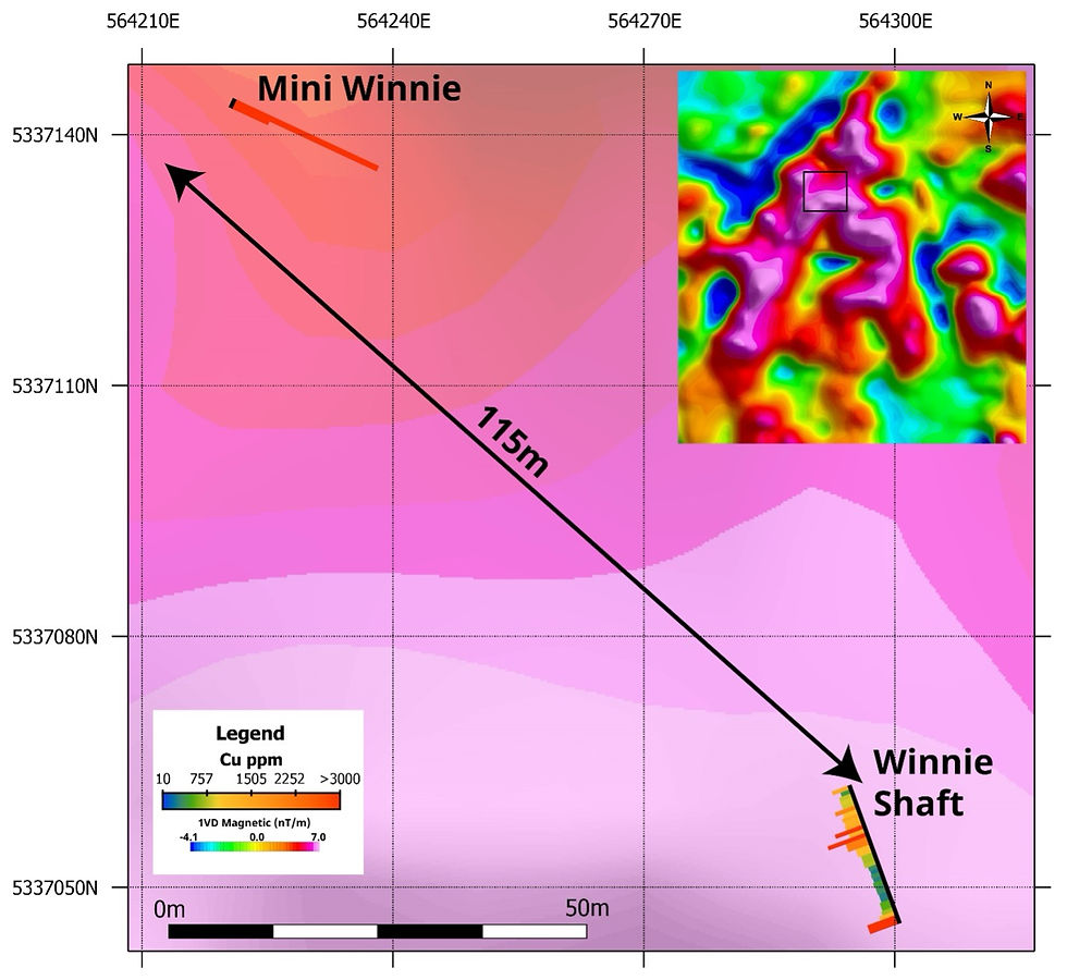 Figure 1. Copper concentrations (Cu ppm) from surface channel sampling at the Mini Winnie and Winnie Shaft showings, displayed over the 1VD (1st Vertical Derivative) magnetic background from 2025 drone magnetic survey. Higher copper values (up to 20,510 ppm or 2.051%) are associated with copper-rich sulphides along the contact between magnetite-bearing intrusive rocks and surrounding units. Channel samples at Mini Winnie demonstrate strong near-surface Cu enrichment over ~115 m from the historical Winnie Shaft, highlighting the potential continuity of mineralization.