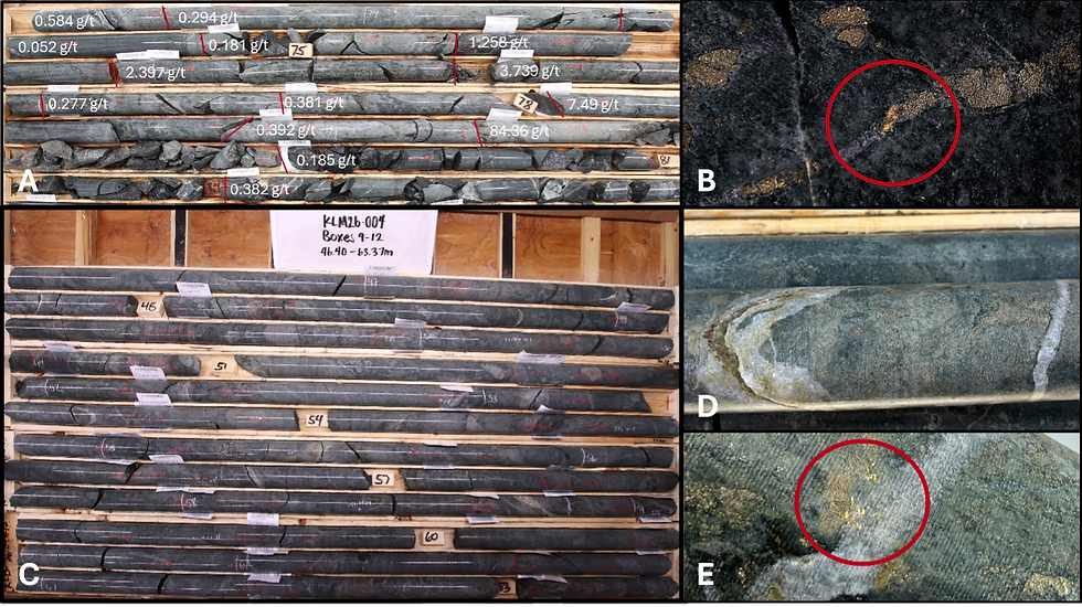 Figure 2 – Mirado drill core: A – KLM26-001 from 73.28 m to 85 m. B – KLM26-001 from 96.65 m to 97.3 m, visible gold. C – KLM26-004 from 46.4 m to 63.37 m, assays pending. D – KLM26-004 from 58.7 m to 58.9 m. E – KLM26-004 visible gold at 58.9 m. The company cautions that the presence of visible gold mineralization is not indicative of high-grade gold assays and that drill core samples will be or have been submitted to a certified laboratory for analysis of gold content. Assay values for the discussed intervals will be released when available. All intervals are downhole depths, and true widths are not known at this time.