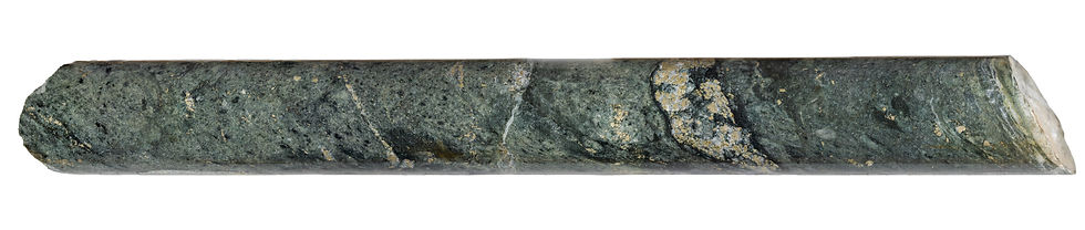 Long green-gray rock core with gold flecks, lying horizontally on a white background