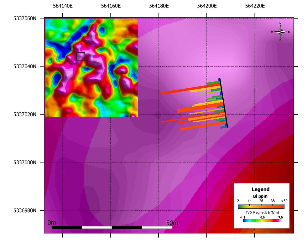 Figure 2. Bismuth concentrations (Bi ppm) from surface channel samples collected along a strongly quartz-veined corridor within the central portion of the Winnie Lake intrusion. Channel samples reveal elevated Bi values (up to 50 ppm) associated with veining and alteration, plotted over a 1st Vertical Derivative (1VD) magnetic background derived from the 2025 drone-based magnetic survey.