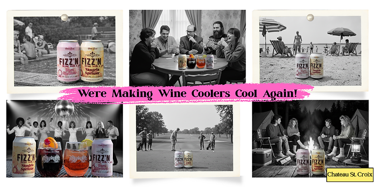 Fizzn Making WIne Cool Again.png
