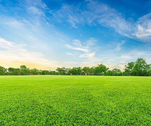 shutterstock_2624328767.jpg
