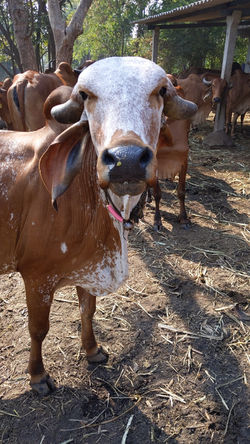 MVIMG_20210117_112513