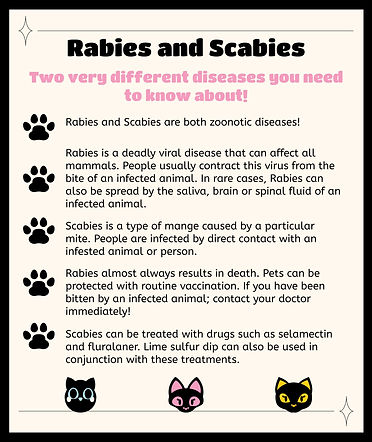 Rabies and Scabies-Project B-Elizabeth Chiarello.jpg