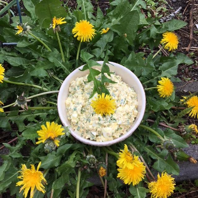 Egg Salad Recipe