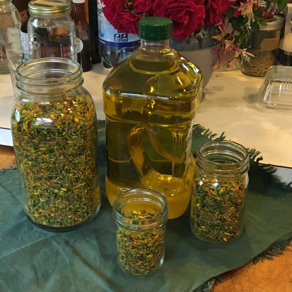 Herbal Medicine Making Camp