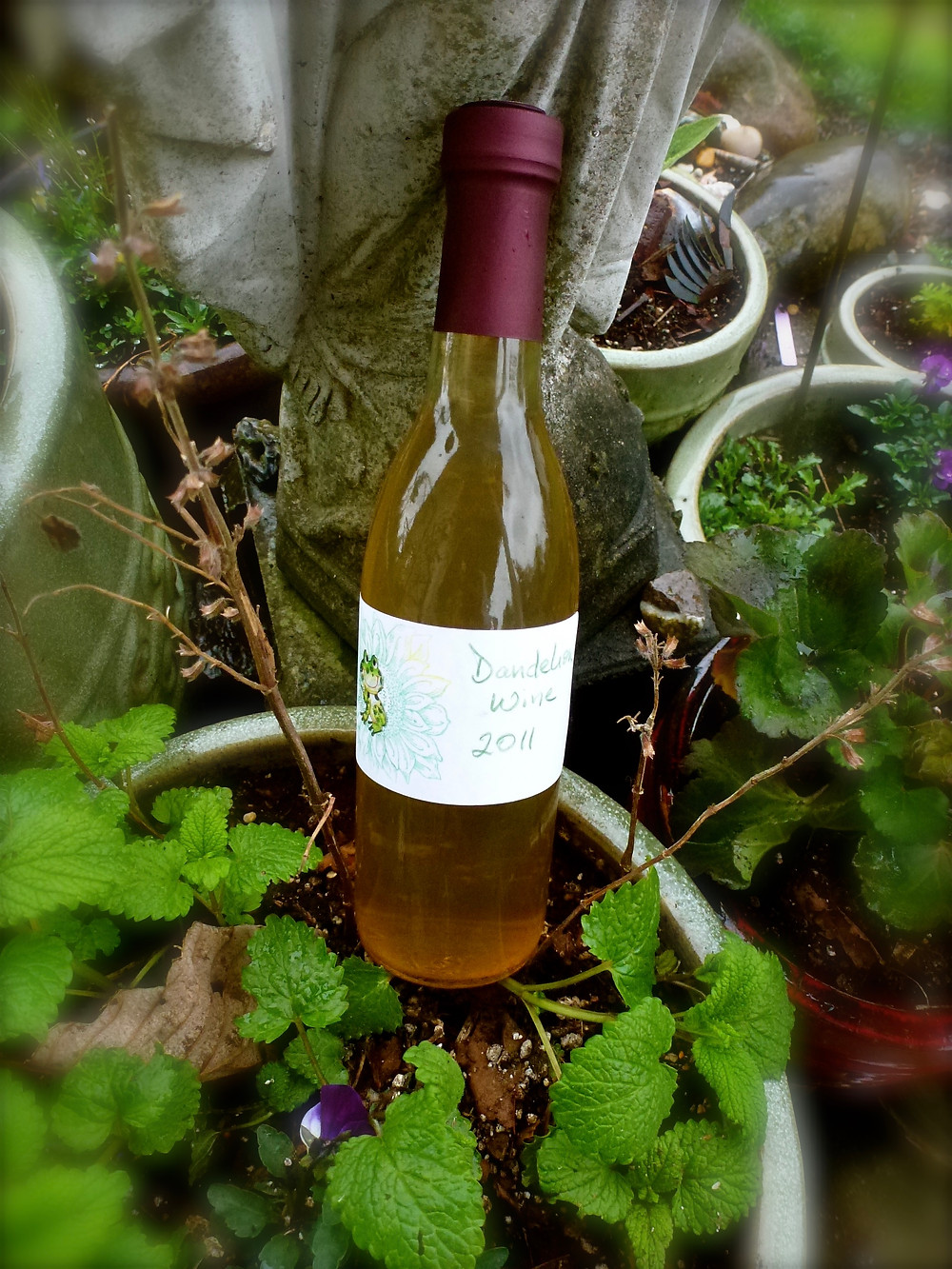 Dandelion Wine bottled