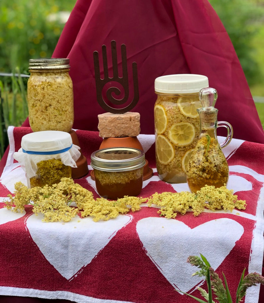 Thumbnail: Saturday Herb Workshop:  Immune Health & Inflammation