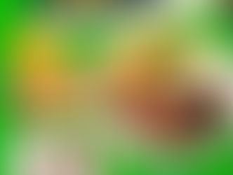【清水山荘】ブラジルイベント開催します!