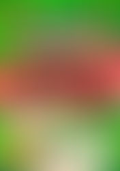 【清水山荘】9月12日ブラジルイベント募集終了いたします。