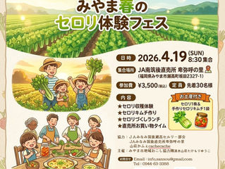 採って！作って！食べる！                      春のセロリ体験フェス開催
