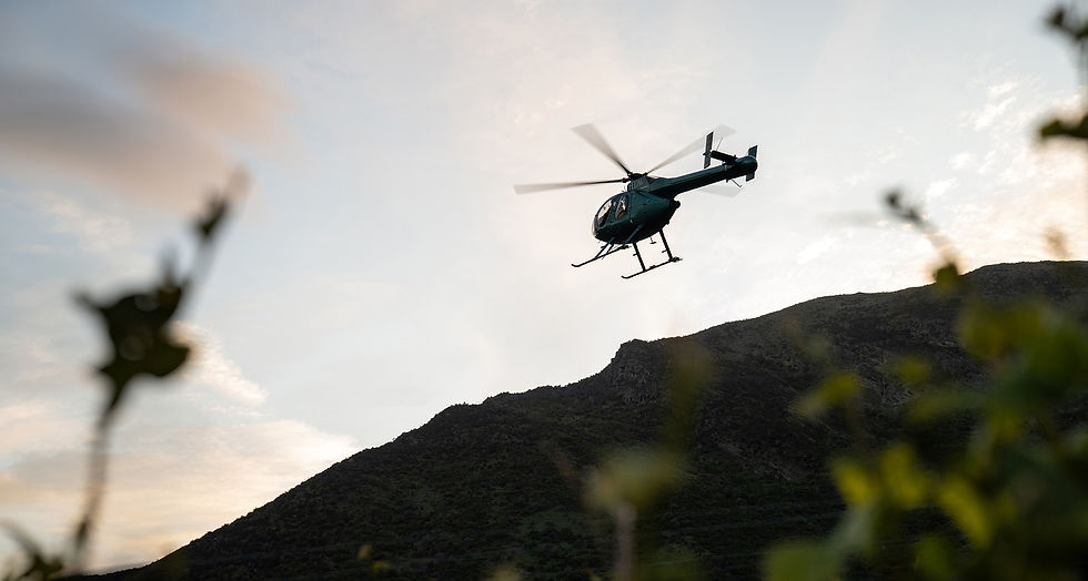 Ecologically restored land post-rabbit decline