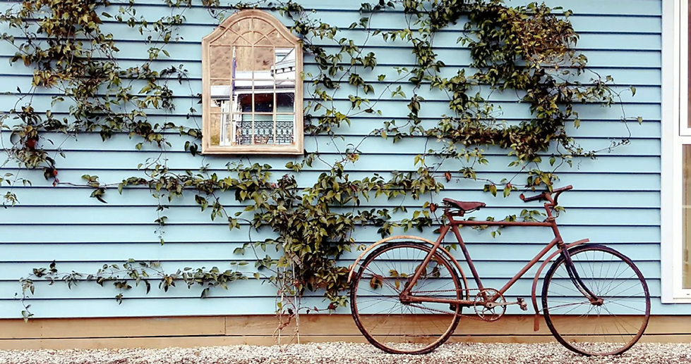 Outside Wall Gibbston Valley Villa Airbnb  | Architectural Design