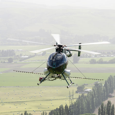 How Helicopters Are Helping Central Otago’s Cherry Orchards
